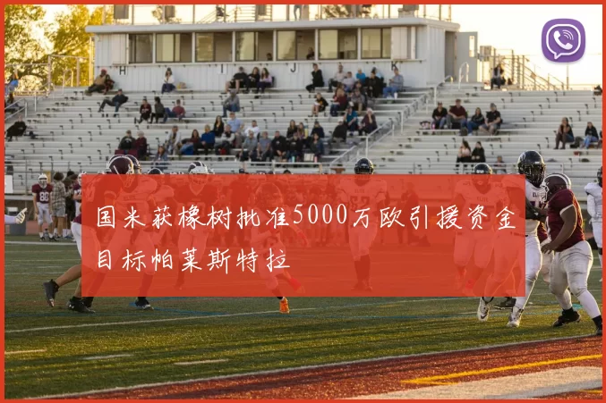 国米获橡树批准5000万欧引援资金目标帕莱斯特拉