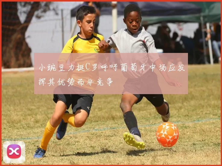 小豌豆力挺C罗呼吁葡萄牙中场应发挥其优势而非竞争